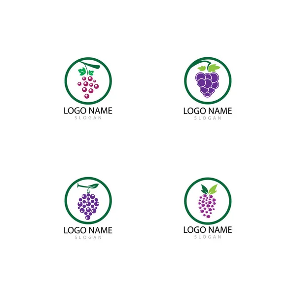 Design de ilustração de ícone de vetor de modelo de logotipo de uvas — Fotografia de Stock