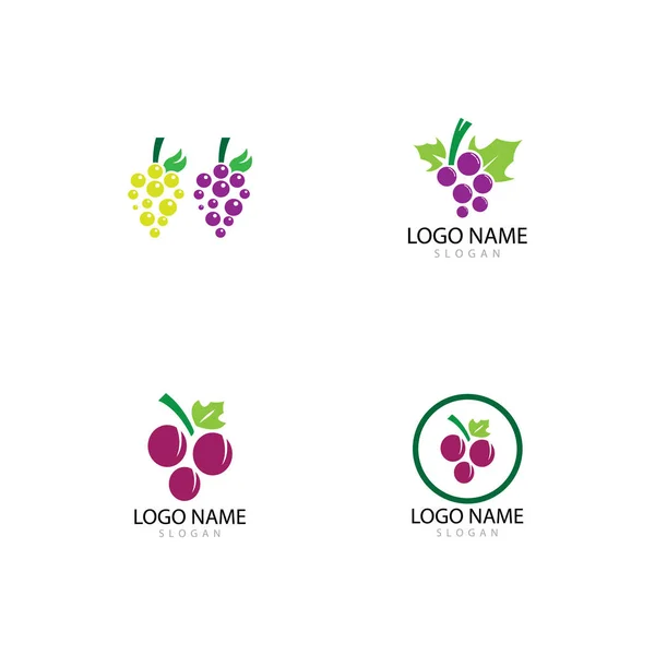 Design de ilustração de ícone de vetor de modelo de logotipo de uvas — Fotografia de Stock