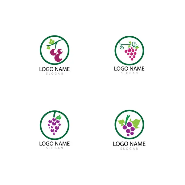 Druiven logo template vector pictogram illustratie ontwerp — Stockfoto