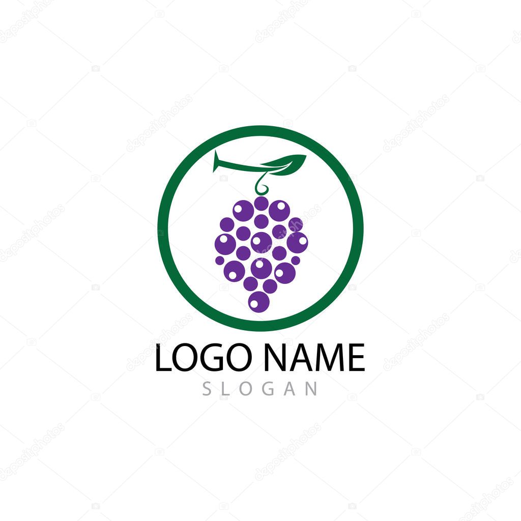 Grapes logo template vector icon illustration design