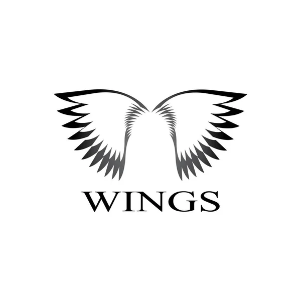 Wings logo design and ilustration template. — Stock Vector