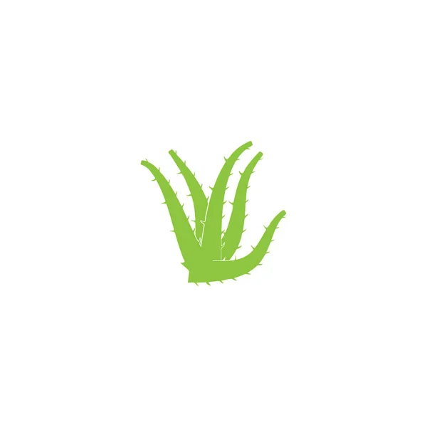 Modèle d'illustration vectorielle de logo Aloe vera — Image vectorielle