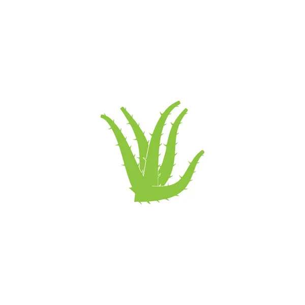 Plantilla de ilustración de vector de logotipo de Aloe vera — Vector de stock