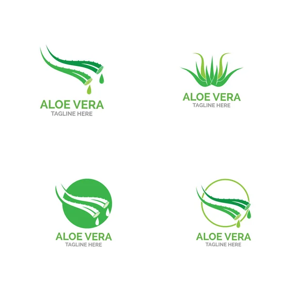 Aloe Vera Logo Vektor Illustration Vorlage — Stockvektor