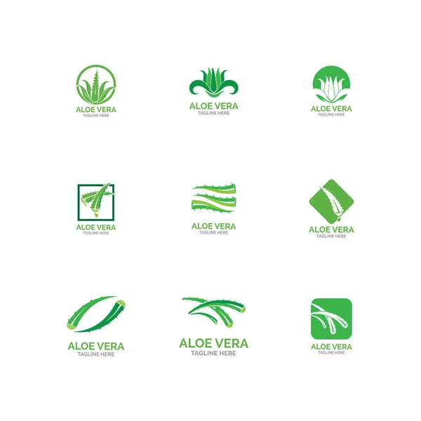 Aloe vera logo vector illustration template — Stock Vector