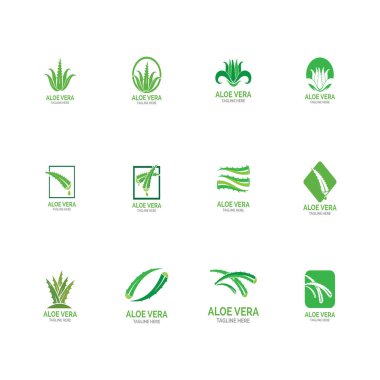 Aloe vera logo vektör çizim şablonu