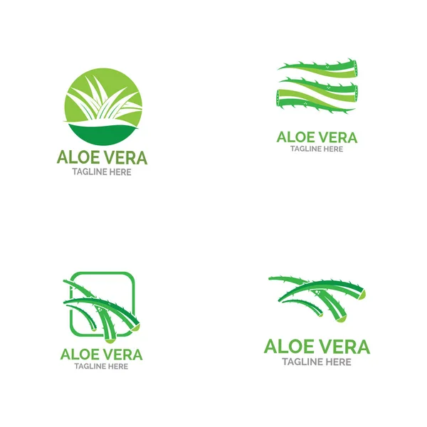 Aloe Vera Logo Vektor Illustration Vorlage — Stockvektor