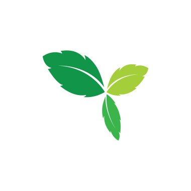 Yeşil yapraklı ekoloji doğa elementi