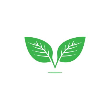 Yeşil yapraklı ekoloji doğa elementi