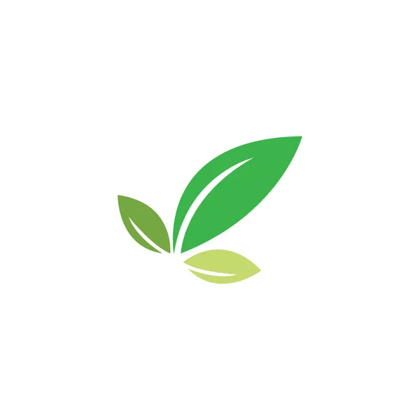 Zöld levél ökológia természet elem — Stock Vector