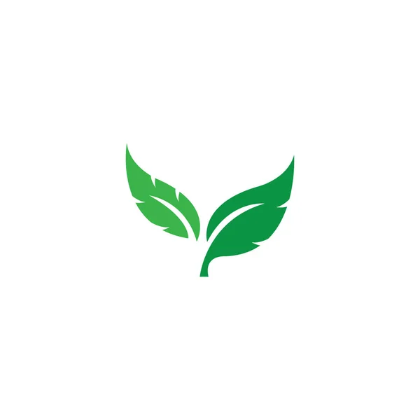Ekologie zelených listů přírodní prvek — Stockový vektor