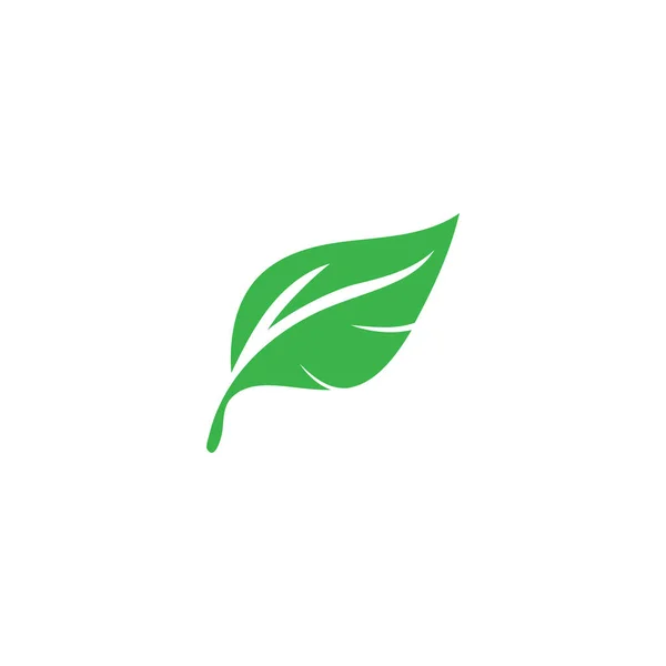 Экология зелёных листьев — стоковый вектор