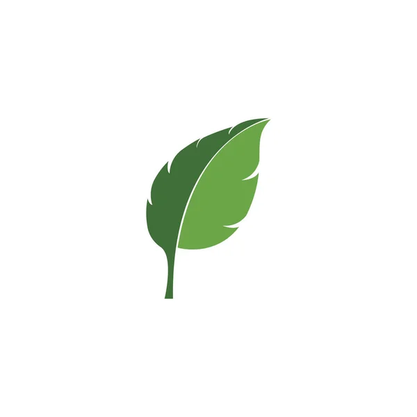 Зелене листя екології елемент природи — стоковий вектор