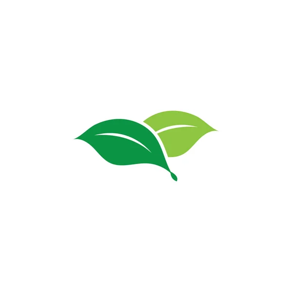 Grünes Blatt Ökologie Naturelement — Stockvektor