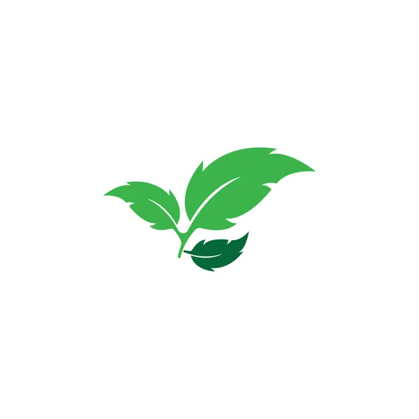 Verde folha ecologia elemento natureza —  Vetores de Stock