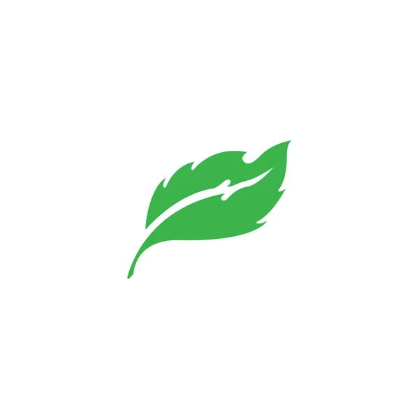 Экология зелёных листьев — стоковый вектор