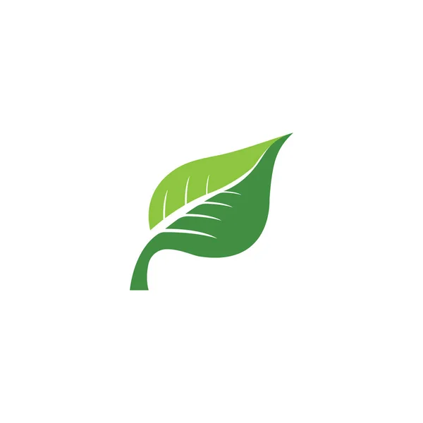 Verde hoja ecología naturaleza elemento — Vector de stock