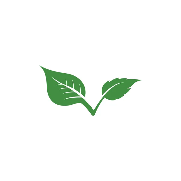 Grönt blad ekologi natur element — Stock vektor