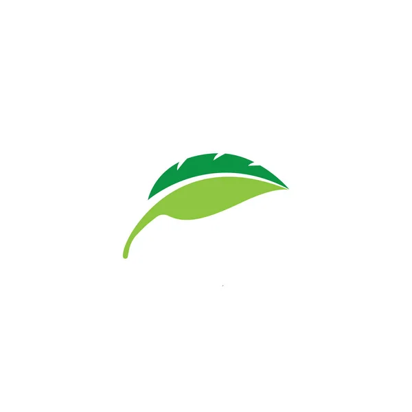 Zöld levél ökológia természet elem — Stock Vector