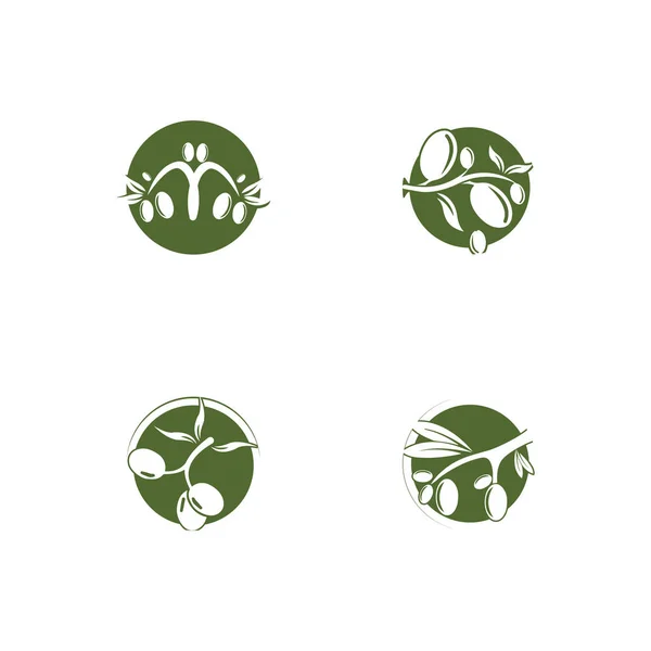 Modelo de logotipo de azeitona ícone do vetor ilustração design —  Vetores de Stock