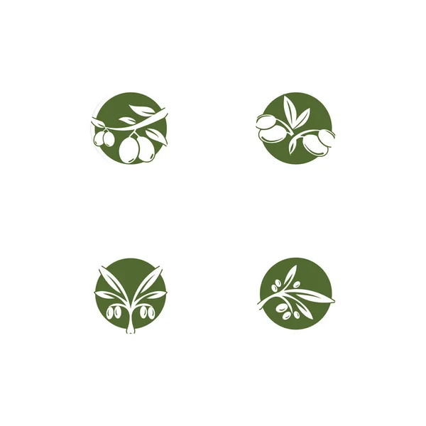 Olive logo șablon vector pictogramă ilustrare design — Vector de stoc