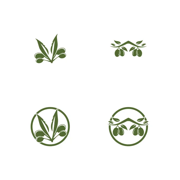 Olive logo plantilla vector icono ilustración diseño — Archivo Imágenes Vectoriales