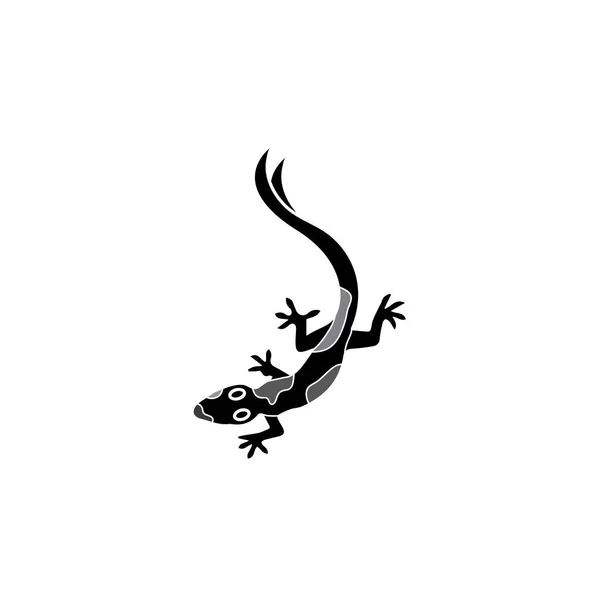 Lagarto Camaleão Gecko logotipo animall e símbolo vetor ilustrati — Vetor de Stock