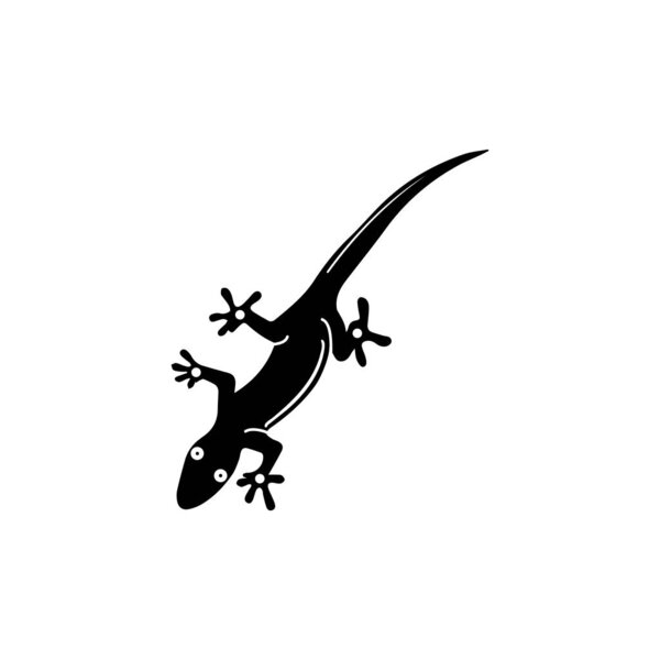 Ящерица Хамелеон Гекко анимированный логотип и векторные символы иллюстрации
