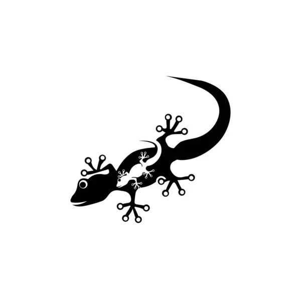 Ödla Kameleont Gecko animall logotyp och symbol vektor illustrati — Stock vektor