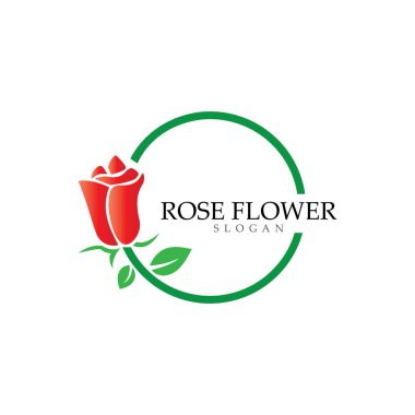 Güzellik gülü çiçek vektör tasarım şablonu