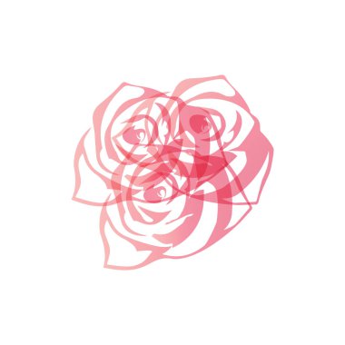 Güzellik gülü çiçek vektör tasarım şablonu