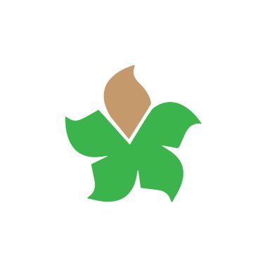 Güzellik Plumeria Simgesi Çiçek Tasarımı Çizim Şablonu