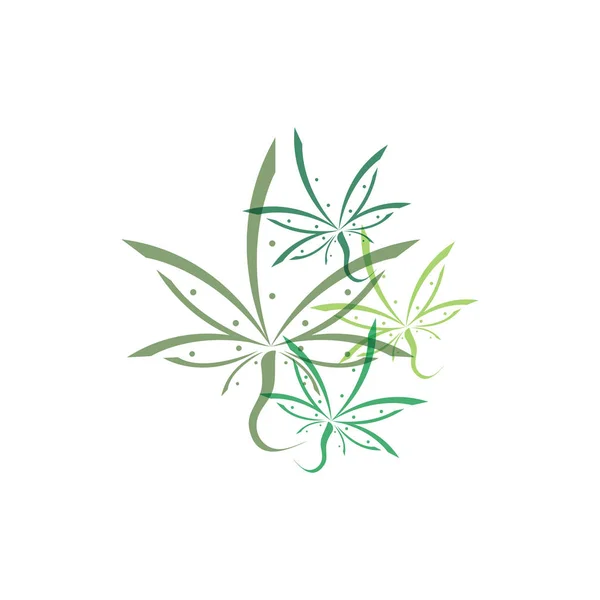 Diseño de icono de ilustración de vector de hoja de Canabis — Vector de stock