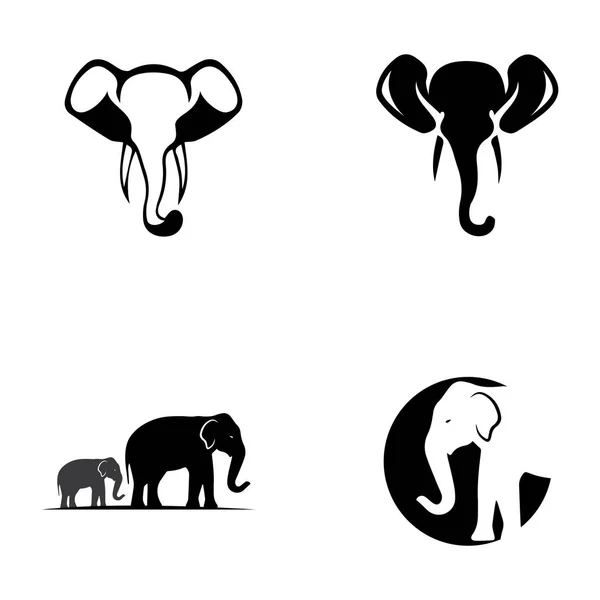 Elefant Logo Vorlage Vektor Illustration Design — Stockvektor