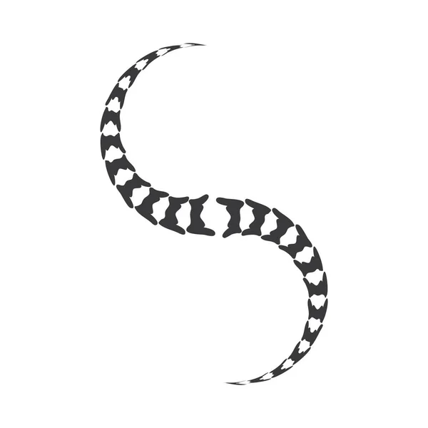 Ryggradsdiagnostik Symbol Logotyp Mall Vektor Illustration Design — Stock vektor