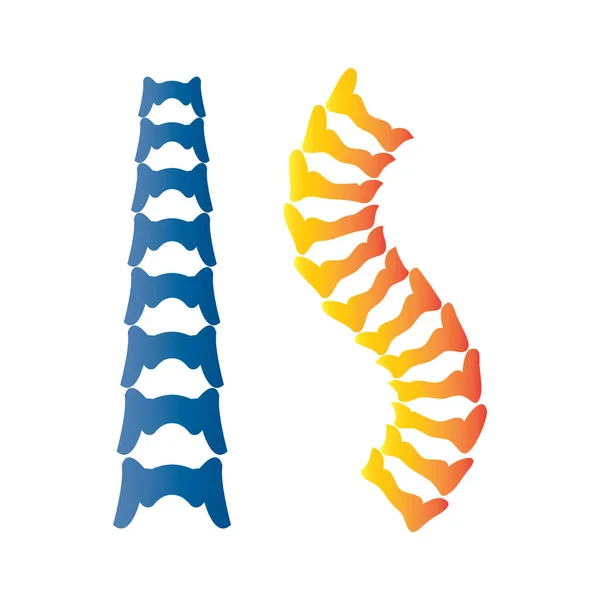 Modèle Logo Symbole Diagnostic Colonne Vertébrale Conception Illustration Vectorielle — Image vectorielle
