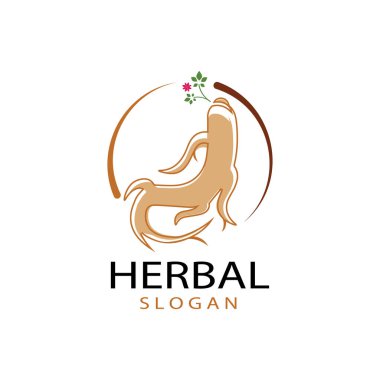 Ginseng vektör resimleme şablonu