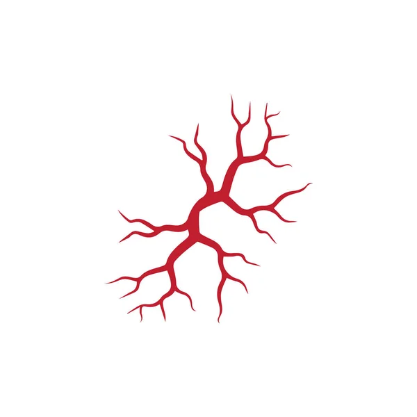 Veias Humanas Desenho Vasos Sanguíneos Vermelhos Artérias Ilustração Vetorial Isolada —  Vetores de Stock