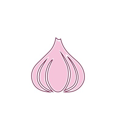Garlic vector icon illustration design template