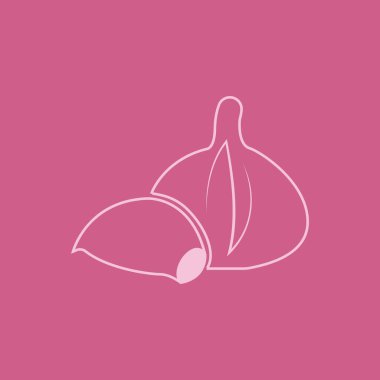 Garlic vector icon illustration design template