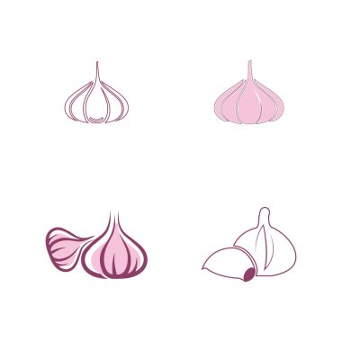 Garlic vector icon illustration design template