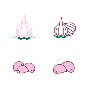 Garlic vector icon illustration design template