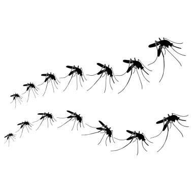 Sivrisinek böcek hayvan logo vektör örnekleme şablonu