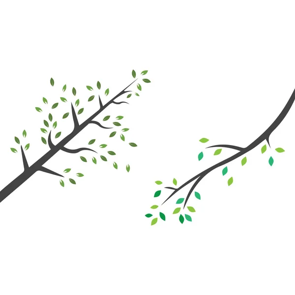 Branche Vectorielle Illustration Dessinée Main Modèle Conception Branche — Image vectorielle