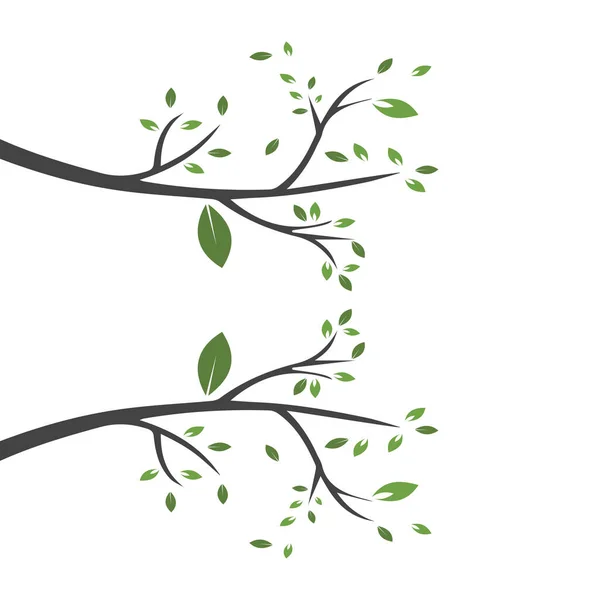 Векторная Ветвь Ручная Иллюстрация Шаблона Проектирования Ветви Дерева — стоковый вектор