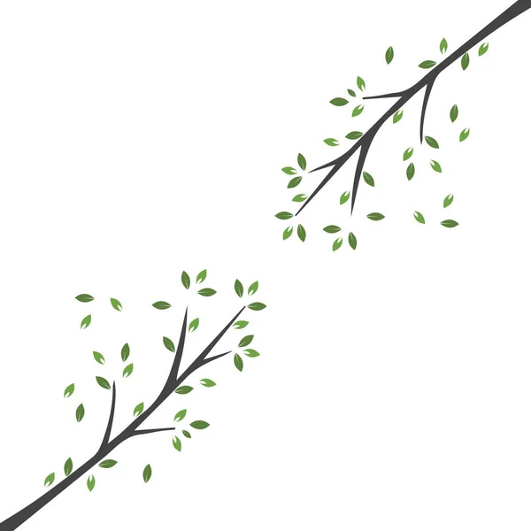 Vektorová Větev Ručně Kreslená Ilustrace Šablony Návrhu Větve Stromu — Stockový vektor