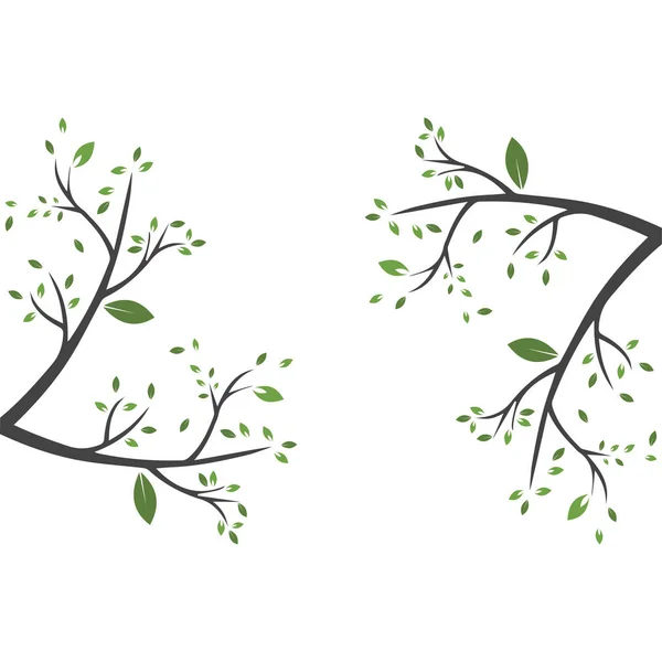 Векторна Гілка Намальована Вручну Ілюстрація Шаблону Дизайну Гілки Дерева — стоковий вектор