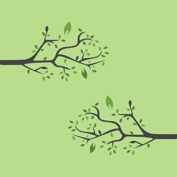 Vektör Dalı Ağaç Dalı Tasarım Şablonunun Çizimi Resmi — Stok Vektör