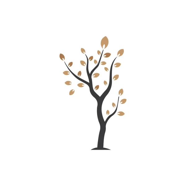 Κλάδος Διάνυσμα Χειροποίητη Απεικόνιση Του Προτύπου Σχεδιασμού Κλαδιών Δέντρων — Διανυσματικό Αρχείο