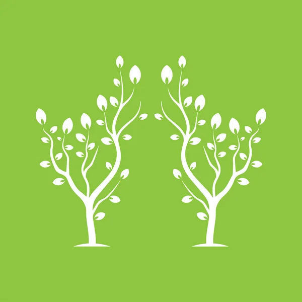 Vector Branch Hand Drawn Illustration Tree Branch Design Template — Stock Vector